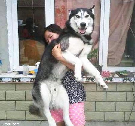 女神和女汉子对比爆笑图片