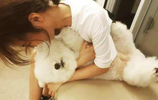 蔡依林为爱犬庆生萌照：毛茸茸十分可爱（图）