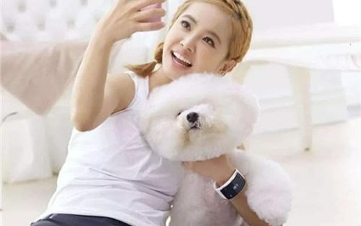 蔡依林为爱犬庆生萌照：毛茸茸十分可爱（图）