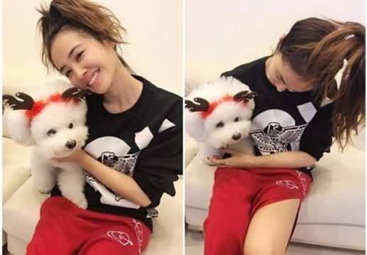 蔡依林为爱犬庆生萌照：毛茸茸十分可爱（图）