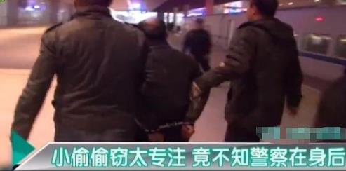 小偷偷窃太专注是什么情况：小偷偷窃背后警方目睹全过程