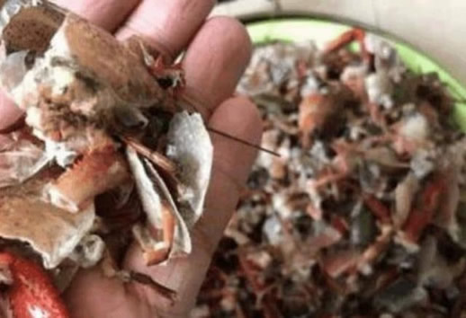 女子嫌龙虾不干净放洗衣机清洗:20分钟后心疼了(真相图) 女子嫌龙虾不干净放洗衣机清洗:20分钟后心疼了(真相图)