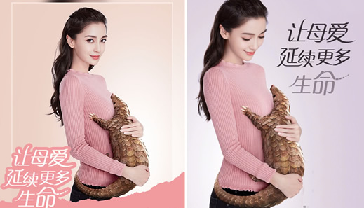 杨颖拍广告帮倒忙什么情况:好事被质疑原因详情真相揭晓 杨颖拍广告帮倒忙什么情况:好事被质疑原因详情真相揭晓