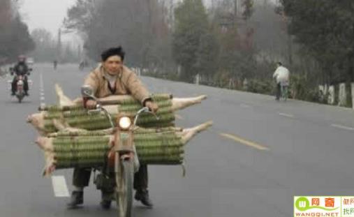 暴强图片合集：民间暴强高手（组图）