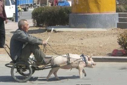 暴强图片合集：民间暴强高手（组图）