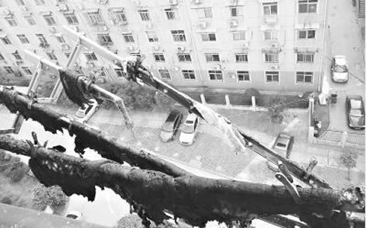 高空烟头点燃小区画面:具体经过详情结果怎样 高空烟头点燃小区画面:具体经过详情结果怎样