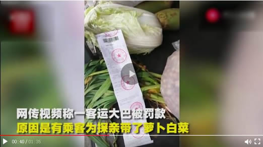 乘客带白菜被罚款你怎么看待：详情真相最后怎么怎么解决的