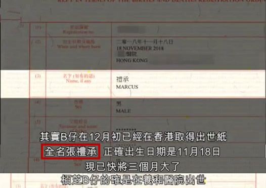 张柏芝小儿子出生证:疑似人工受孕小儿子全名曝光 张柏芝小儿子出生证:疑似人工受孕小儿子全名曝光