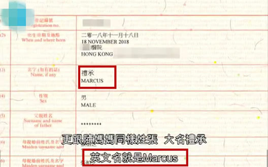 张柏芝小儿子出生证:疑似人工受孕小儿子全名曝光 张柏芝小儿子出生证:疑似人工受孕小儿子全名曝光