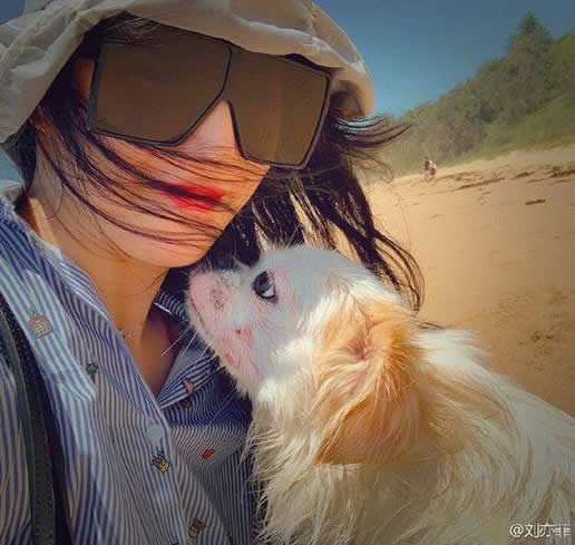 刘亦菲分享美照近照：精致迷人（图）