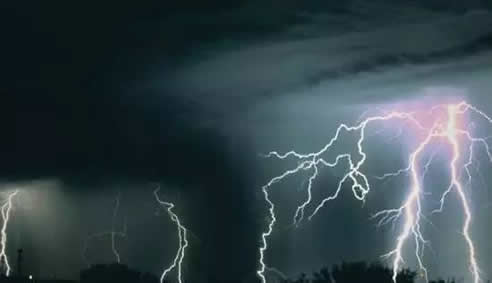 村民几十年做同一怪梦 皆因古树作祟?（百年银杏树）