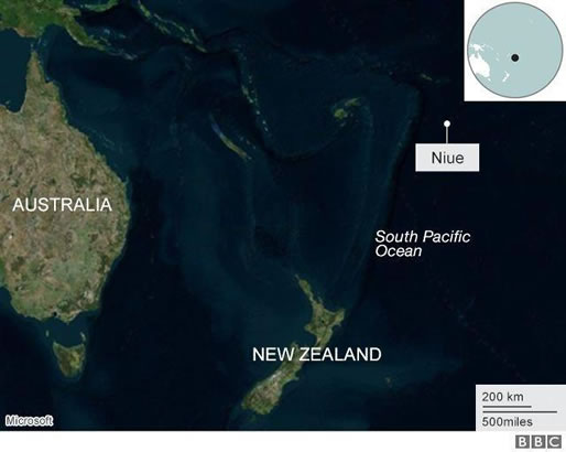 最孤独鸭子被咬死令人悼念：最孤独鸭子来源及简介