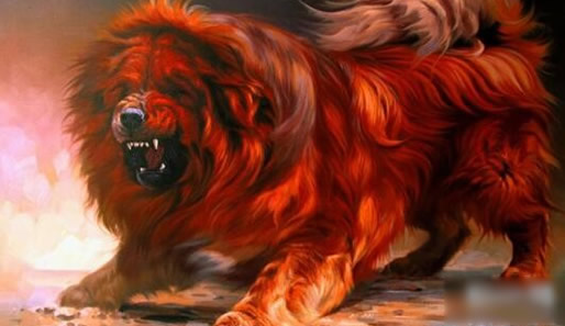 惊天兽是什么简介：惊天兽多少钱一只及养殖方法