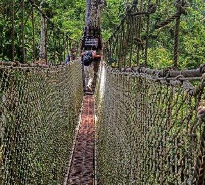 空中玻璃走廊：盘点空中玻璃走廊景点（胆小勿看）