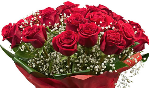 多色的玫瑰凭借着各自不同的花语,赢得了恋人的青睐,也为情人节这一