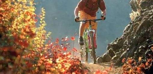 科学家喜欢的运动盘点:健步走游泳举重慢跑登山 科学家喜欢的运动盘点:健步走游泳举重慢跑登山