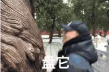 2019各种盘他盘你盘我:关于盘的表情包你用了吗 2019各种盘他盘你盘我:关于盘的表情包你用了吗