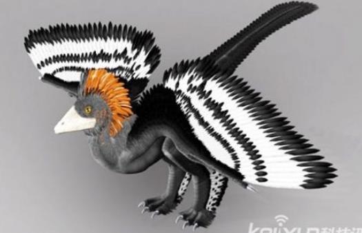 世上最袖珍恐龙足迹化石:13种袖珍恐龙盘点 世上最袖珍恐龙足迹化石:13种袖珍恐龙盘点