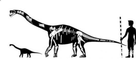 世上最袖珍恐龙足迹化石：13种袖珍恐龙盘点
