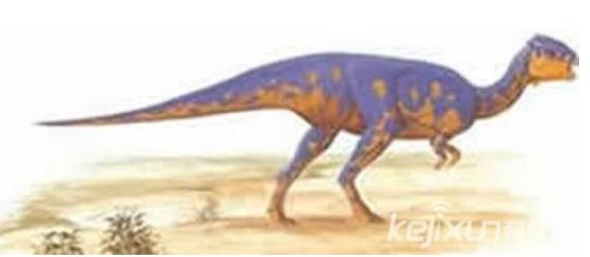 世上最袖珍恐龙足迹化石：13种袖珍恐龙盘点