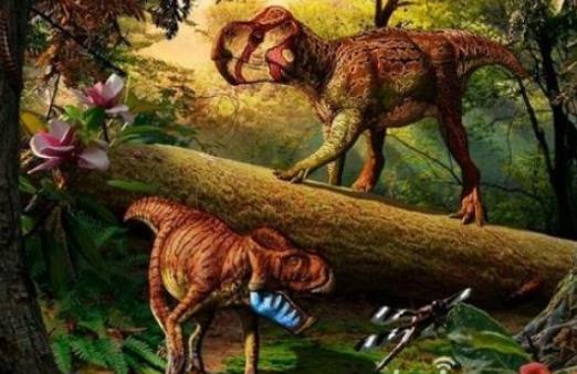 世上最袖珍恐龙足迹化石：13种袖珍恐龙盘点