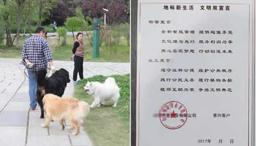 不养狗才能买房具体怎么回事：真相是这样你这么看待