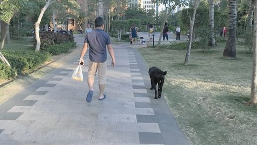 不养狗才能买房具体怎么回事：真相是这样你这么看待