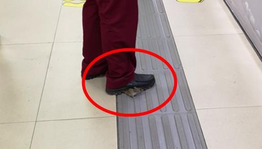 地铁一只老鼠笑翻网友：老鼠眼神触动人心但命运堪忧