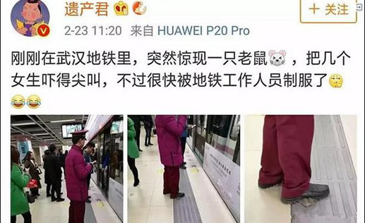 地铁一只老鼠笑翻网友：老鼠眼神触动人心但命运堪忧