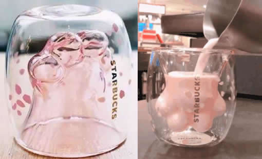 星巴克猫爪杯遭抢怎么回事:凌晨排队还动手打了起来 星巴克猫爪杯遭抢怎么回事:凌晨排队还动手打了起来