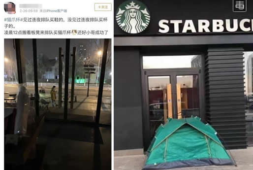 星巴克猫爪杯遭抢怎么回事:凌晨排队还动手打了起来 星巴克猫爪杯遭抢怎么回事:凌晨排队还动手打了起来