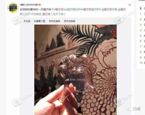 星巴克猫爪杯遭抢怎么回事:凌晨排队还动手打了起来 星巴克猫爪杯遭抢怎么回事:凌晨排队还动手打了起来