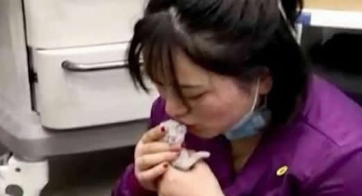 医生对猫人工呼吸什么情况：真相是这样令人感动（图）