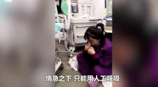 医生对猫人工呼吸什么情况：真相是这样令人感动（图）