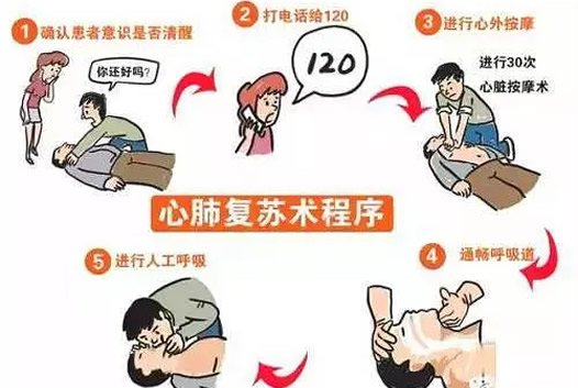 医生对猫人工呼吸什么情况：真相是这样令人感动（图）