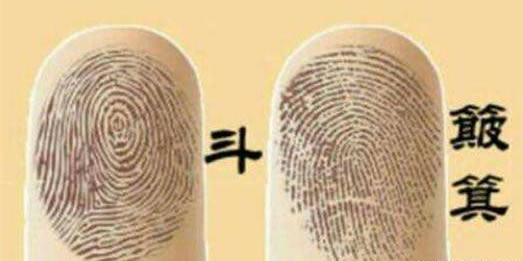 手上的斗有什么说法:关于手上斗和簸箕你知道多少 手上的斗有什么说法:关于手上斗和簸箕你知道多少