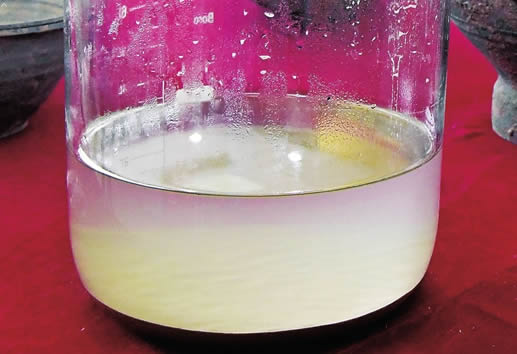 西汉古墓挖出仙药怎么回事:仙药图片什么样子的揭晓 西汉古墓挖出仙药怎么回事:仙药图片什么样子的揭晓