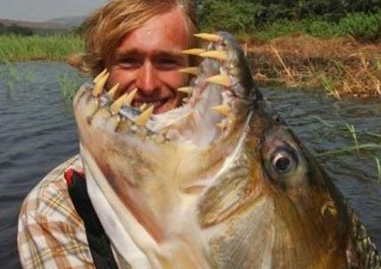 海洋中十大恐怖的鱼类：深海中的神秘生物