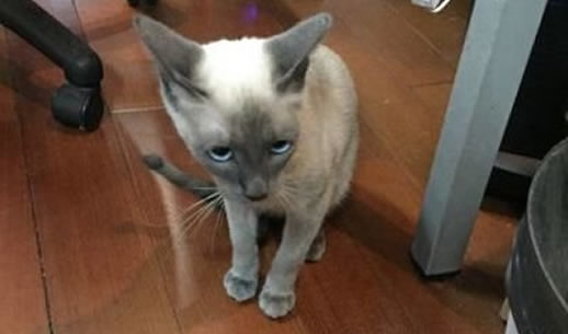 呵呵表达的意思是什么：关于呵呵一词深层含义解读