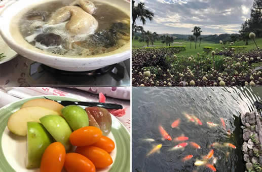 吴奇隆晒孕妇餐照片曝光(揭2人相恋过程) 吴奇隆晒孕妇餐照片曝光(揭2人相恋过程)