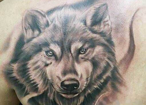 男人纹身纹什么好有哪些禁忌(纹身有危害尽量不纹身) 男人纹身纹什么好有哪些禁忌(纹身有危害尽量不纹身)