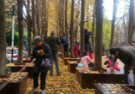 杭州有什么好玩的地方：杭州好玩有趣的地方盘点