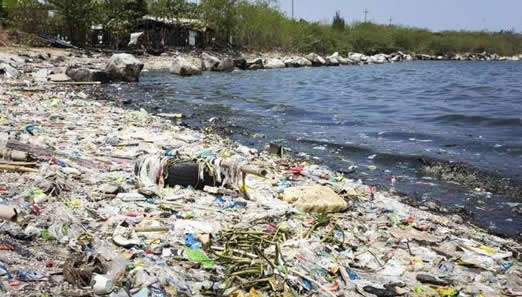 16个方法减少垃圾产生（附：垃圾有哪些危害）