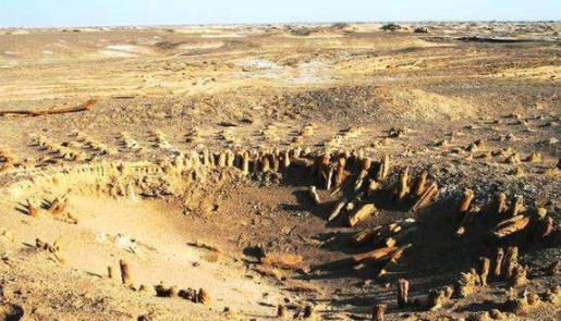 楼兰古国为什么会消失（楼兰古国消失之谜及简介）