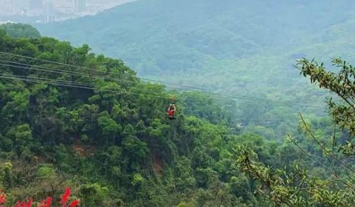 全国最长滑索开放怎么回事：挑战极限2分钟通过1500米