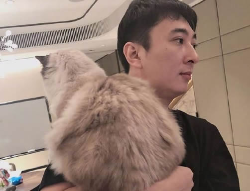 无状态点赞王思聪什么情况:这究竟是个什么梗? 无状态点赞王思聪什么情况:这究竟是个什么梗?