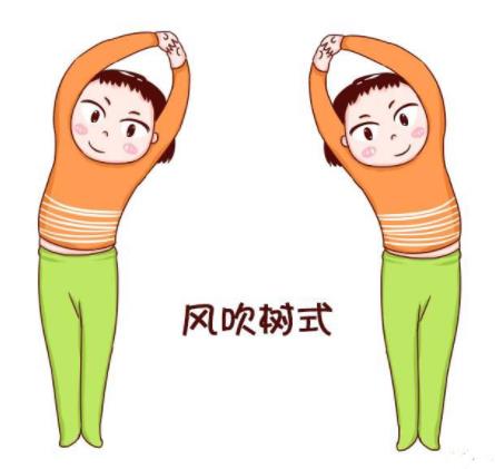 四十八式瑜伽姿势体位：详解48式标准做法及作用