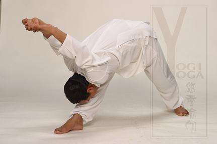 四十八式瑜伽姿势体位:详解48式标准做法及作用 四十八式瑜伽姿势体位:详解48式标准做法及作用