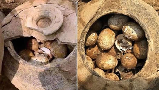 2500年前的鸡蛋照片曝光:始末详情还能孵小鸡吗? 2500年前的鸡蛋照片曝光:始末详情还能孵小鸡吗?