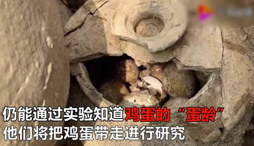 春秋时期鸡蛋出土什么情况:春秋时期鸡蛋什么样子 春秋时期鸡蛋出土什么情况:春秋时期鸡蛋什么样子